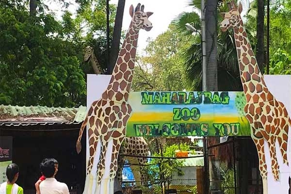 Maharaj Bagh Zoo