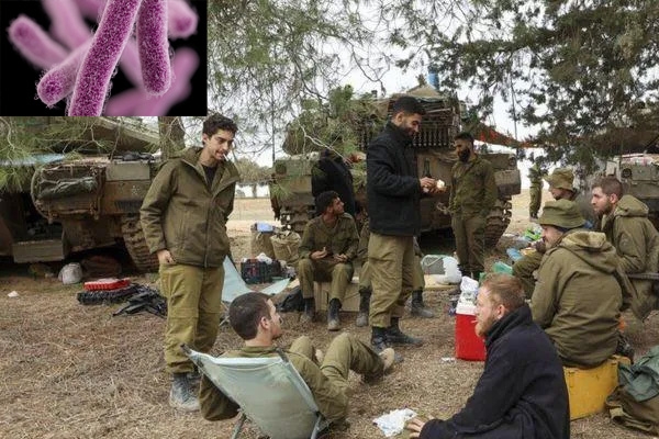 shigella-isreal