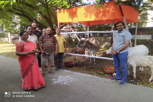 वीर हनुमान मंदिर समिती तर्फे गो-वत्स उपक्रम