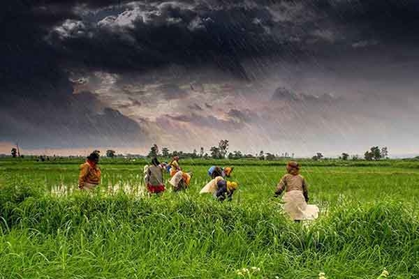 Monsoon-Agriculture-rain