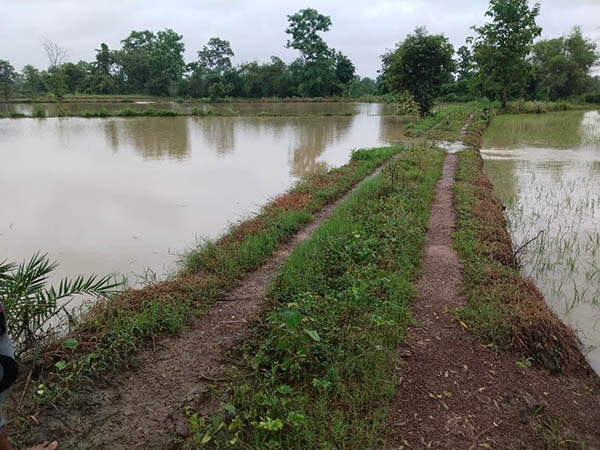 heavy rains-Gondia