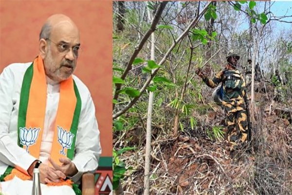 Naxal-Amit Shah-Leftist