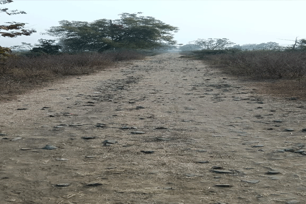 Pimpalgaon Cemetery, MP, Hinganghat, Cemetery