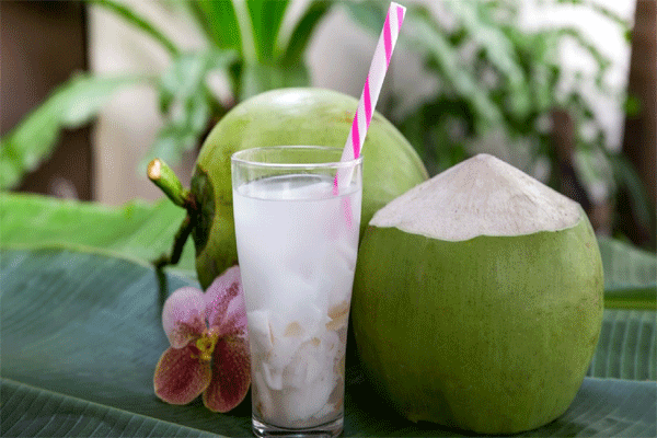 coconut 